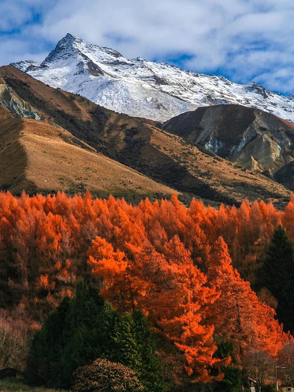 new-zealand-mountain-scenery-PTFCMYE-compressed-cropped